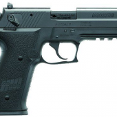 22 Calibre Hand Gun